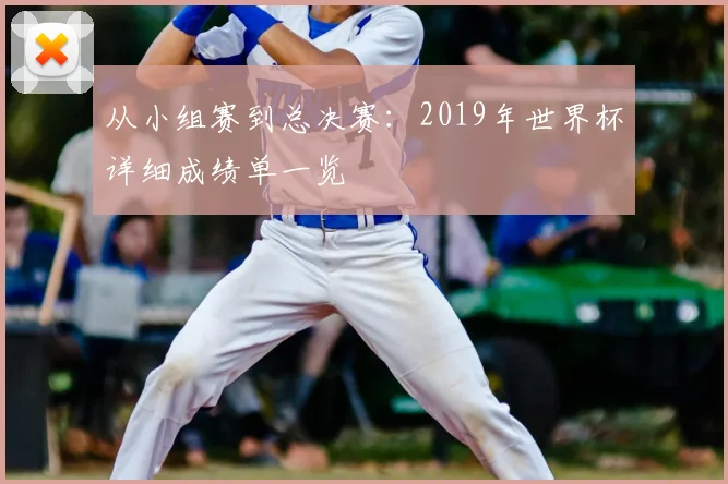 从小组赛到总决赛：2019年世界杯详细成绩单一览
