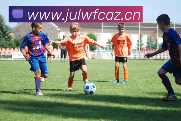 星空体育在线官网发展历程